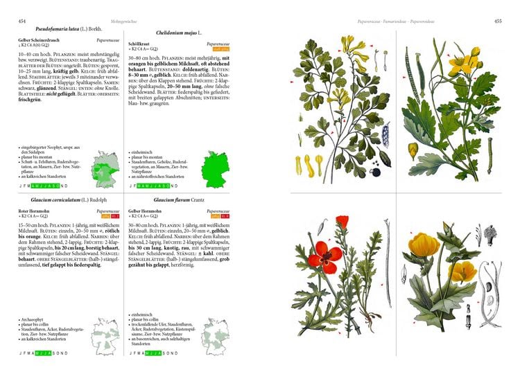 Produktbild: Die Flora von Deutschland. Alle heimischen Arten