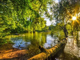Produktbild: CALVENDO Puzzle Hochwasser | 1000 Teile Lege-Gr&ouml;&szlig;e 64x48cm Foto-Puzzle f&uuml;r gl&uuml;ckliche Stunden