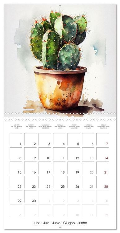 Produktbild: The Art of House Plants (Wall Calendar 2026 12 &times; 12 Inch) CALVENDO 12 Month Wall Calendar