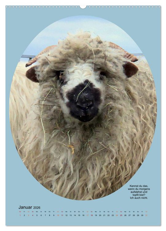 Produktbild: Scharfe Portraits (hochwertiger Premium Wandkalender 2026 DIN A2 hoch), Kunstdruck in Hochglanz