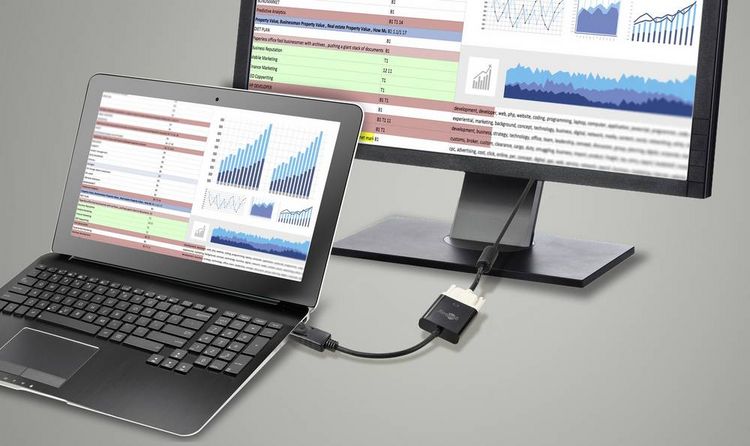 Produktbild: Goobay 69873 DisplayPort / DVI Adapter [1x DisplayPort Stecker - 1x DVI-Buchse 24+1pol.] Schwarz 0.15 m