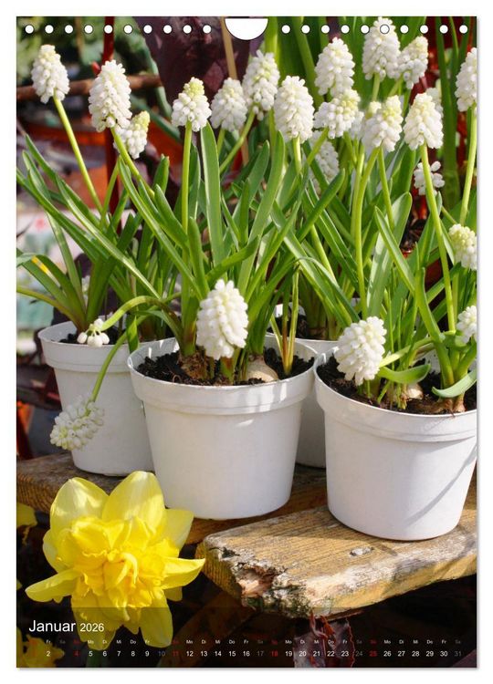 Produktbild: Ferien im Garten (Wandkalender 2026 DIN A4 hoch), CALVENDO Monatskalender
