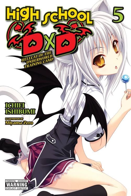 Produktbild: High School DxD, Vol. 5 (light novel)