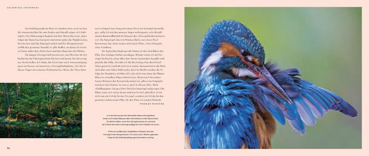 Produktbild: Wilde Elbe