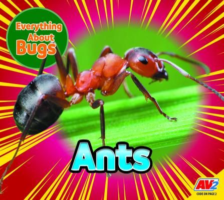 Produktbild: Ants