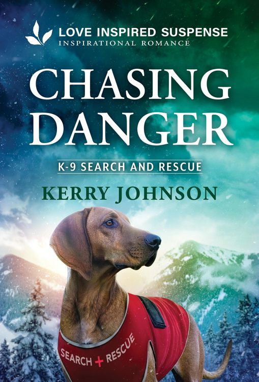 Produktbild: Chasing Danger
