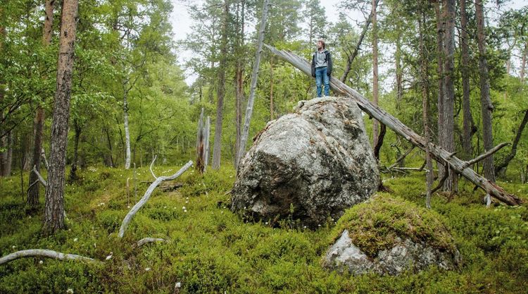 Produktbild: Tics - Mit Tourette nach Lappland