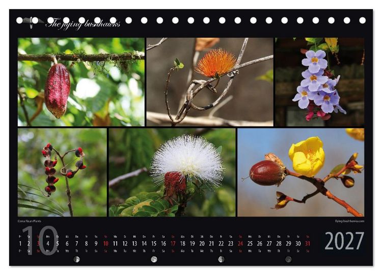 Produktbild: Costa Rica Blickwinkel 2027 (Tischkalender 2027 DIN A5 quer), CALVENDO Monatskalender