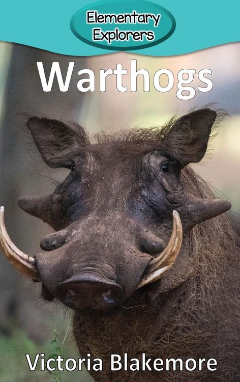 Produktbild: Warthogs