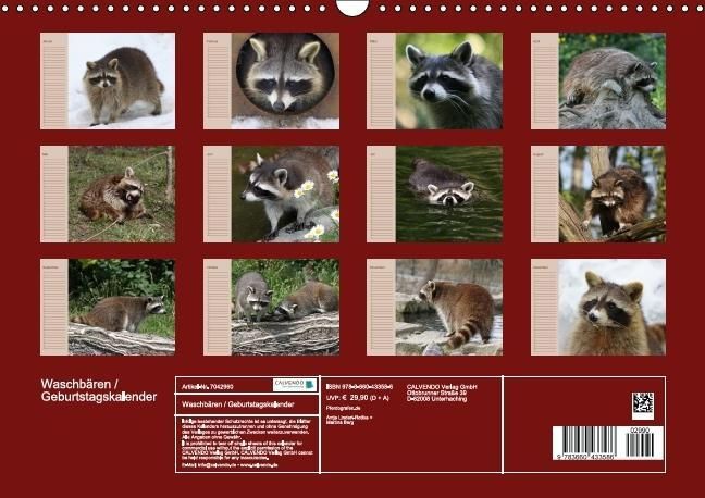 Produktbild: Waschb&auml;ren / Geburtstagskalender (Wandkalender immerw&auml;hrend DIN A3 quer)
