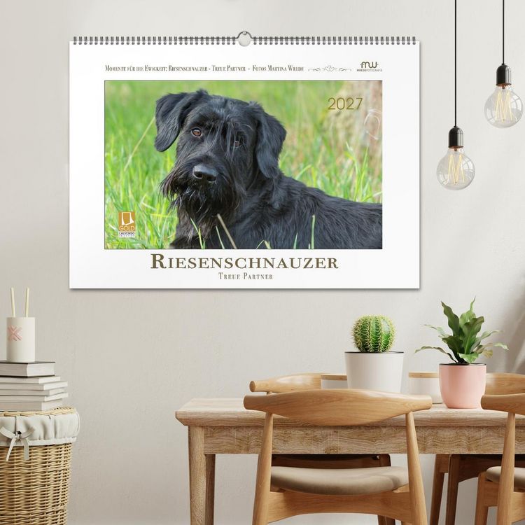 Produktbild: Riesenschnauzer - Treue Partner (Wandkalender 2027 DIN A2 quer), CALVENDO Monatskalender
