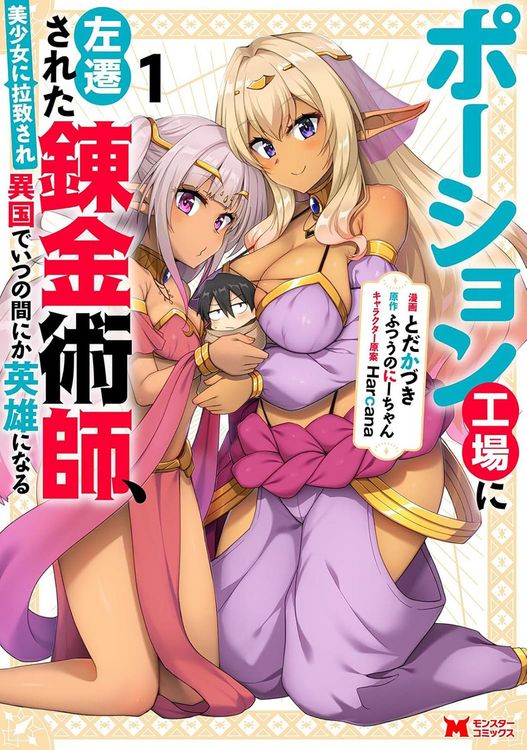 Produktbild: Kidnapped by Elves, I Went from Potion Factory Alchemist to Accidental Hero Vol. 1