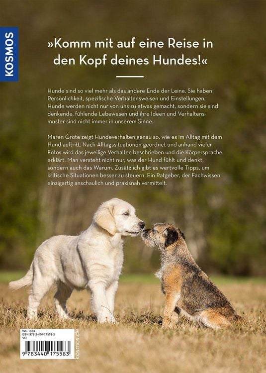 Produktbild: Hunde lesen lernen