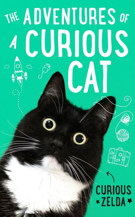 Produktbild: The Adventures of a Curious Cat