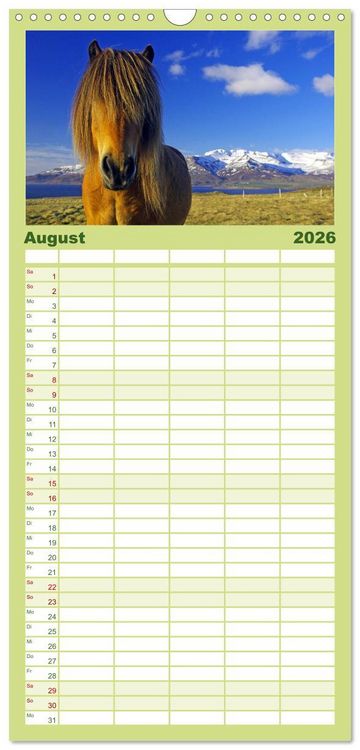Produktbild: Familienplaner 2026 - Die Pferde Islands mit 5 Spalten (Wandkalender, 21 x 45 cm) CALVENDO