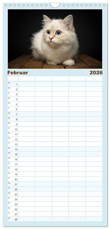 Produktbild: Familienplaner 2026 - Heilige Birma Katzen - Eine Rasse mit traumhaft blauen Augen. mit 5 Spalten (Wandkalender, 21 x 45 cm) CALVENDO