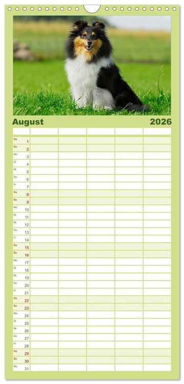 Produktbild: Familienplaner 2026 - Sheltie 2026 mit 5 Spalten (Wandkalender, 21 x 45 cm) CALVENDO