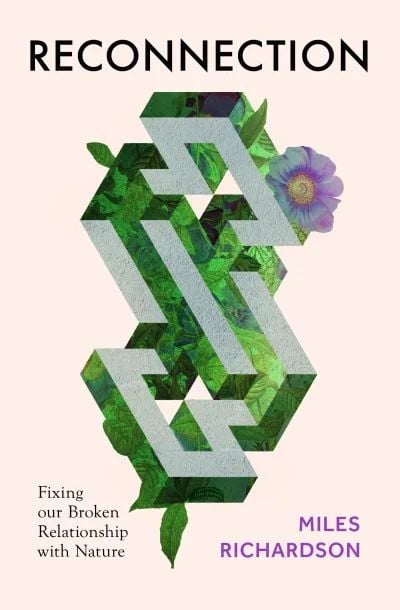 Produktbild: Reconnection
