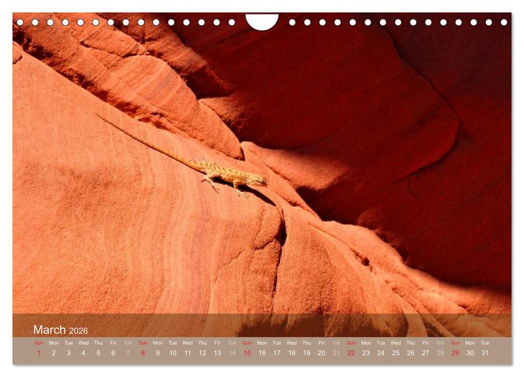 Produktbild: Lights and Colours of the Antelope Canyon (Wall Calendar 2026 DIN A4 landscape), CALVENDO 12 Month Wall Calendar