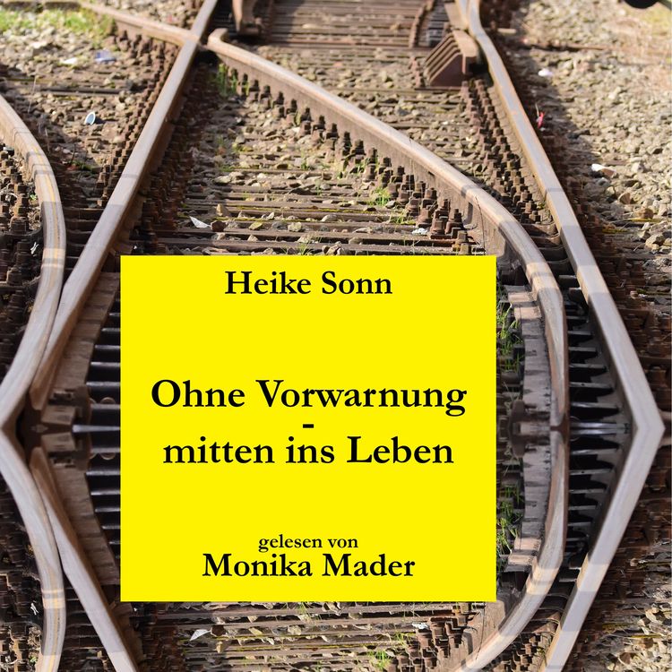Produktbild: Ohne Vorwarnung - mitten ins Leben