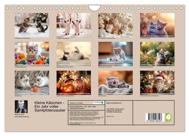 Produktbild: Kleine K&auml;tzchen - Ein Jahr voller Samtpfotenzauber (Wandkalender 2027 DIN A4 quer), CALVENDO Monatskalender