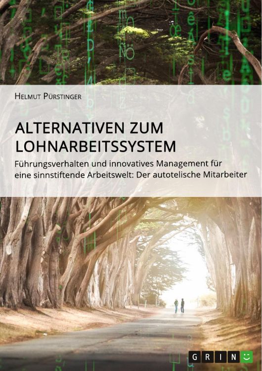 Produktbild: Alternativen zum Lohnarbeitssystem. F&uuml;hrungsverhalten und innovatives Management f&uuml;r eine sinnstiftende Arbeitswelt