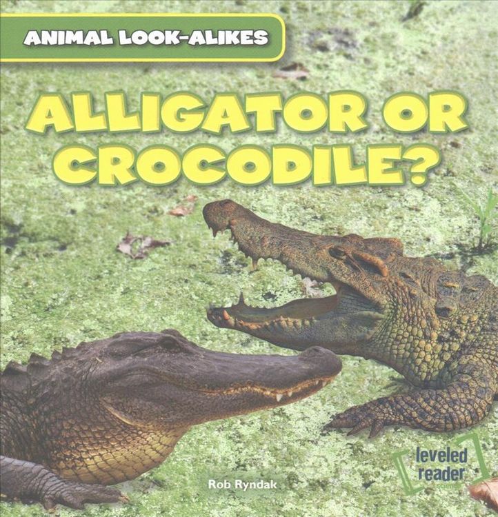 Produktbild: Alligator Or Crocodile