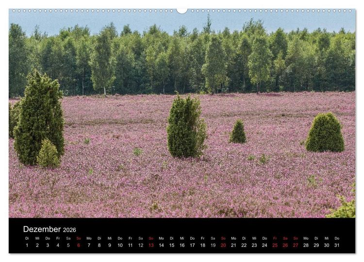 Produktbild: L&uuml;neburger Heide (hochwertiger Premium Wandkalender 2026 DIN A2 quer), Kunstdruck in Hochglanz