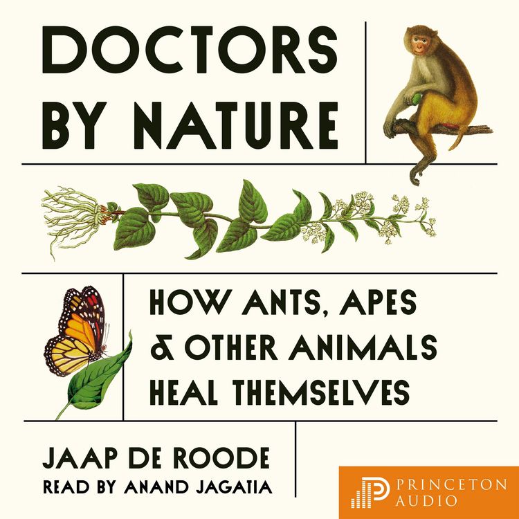 Produktbild: Doctors by Nature