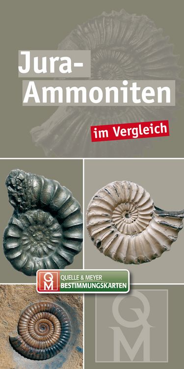 Produktbild: Jura-Ammoniten