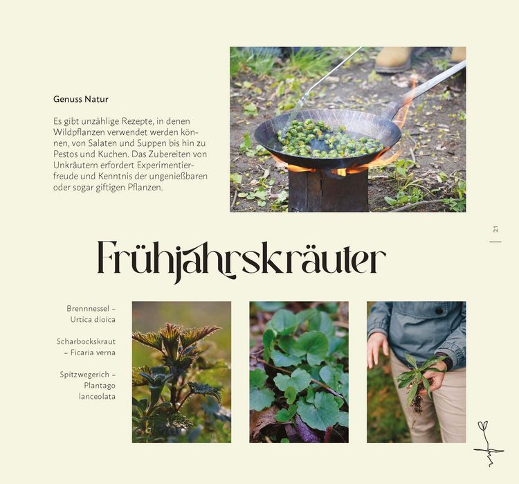 Produktbild: Faszination Wildkr&auml;uter