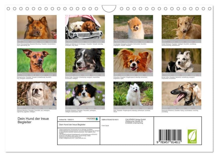 Produktbild: Dein Hund der treue Begleiter (Wandkalender 2026 DIN A4 quer), CALVENDO Monatskalender