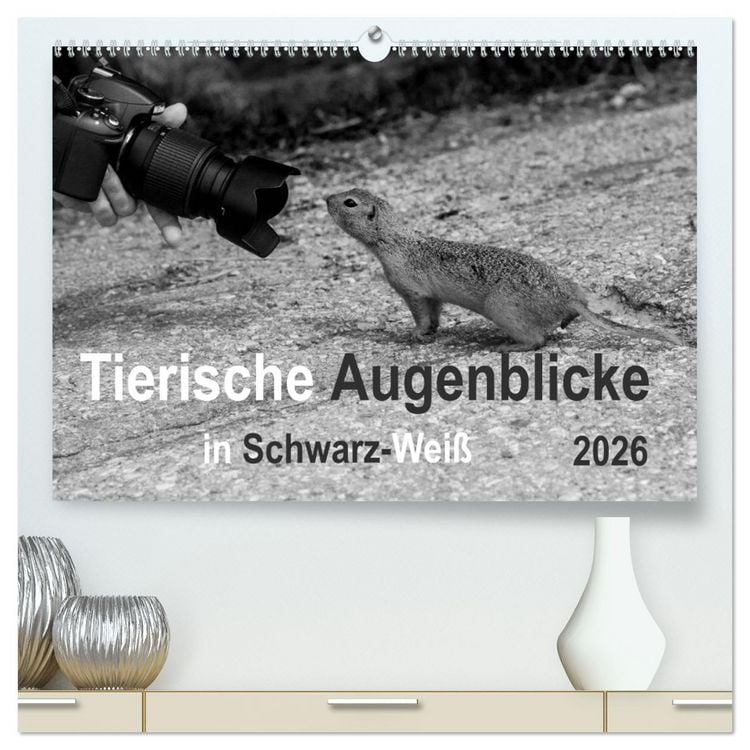 Produktbild: Tierische Augenblicke in Schwarz-Wei&szlig; (hochwertiger Premium Wandkalender 2026 DIN A2 quer), Kunstdruck in Hochglanz