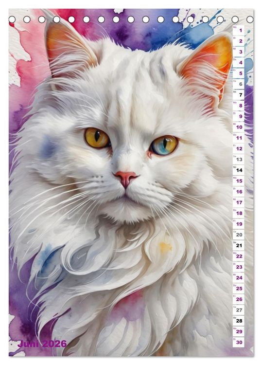 Produktbild: KATZENKALENDER - Aquarell Katzenportraits f&uuml;r Katzenliebhaber (Tischkalender 2026 DIN A5 hoch), CALVENDO Monatskalender