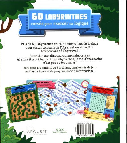 Produktbild: 60 labyrinthes cors&eacute;s pour exercer sa logique
