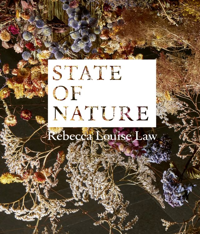 Produktbild: Rebecca Louise Law: State of Nature