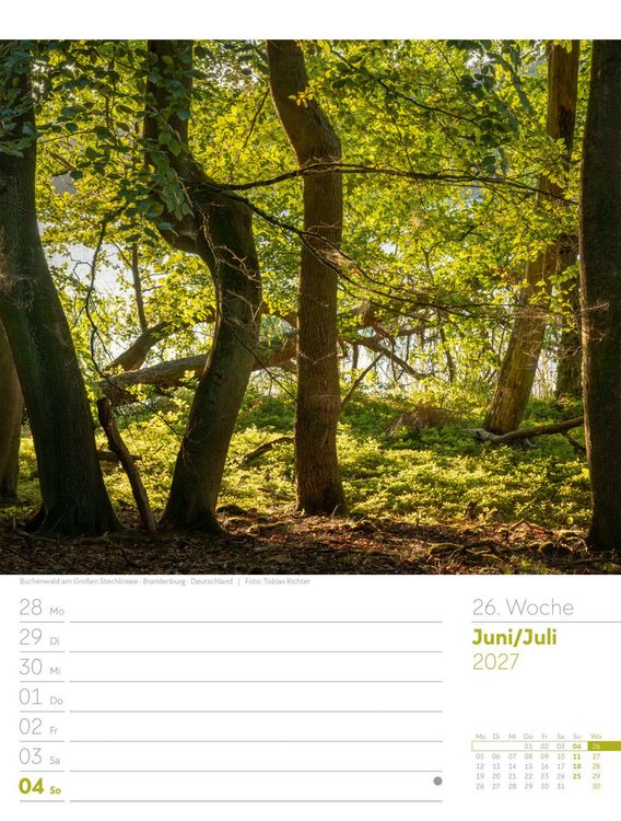 Produktbild: Unser Wald Wochenplaner Kalender 2027