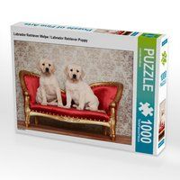 Produktbild: CALVENDO Puzzle Labrador Retriever Welpe / Labrador Retriever Puppy 1000 Teile Lege-Gr&ouml;&szlig;e 64 x 48 cm Foto-Puzzle Bild von Jeanette Hutfluss