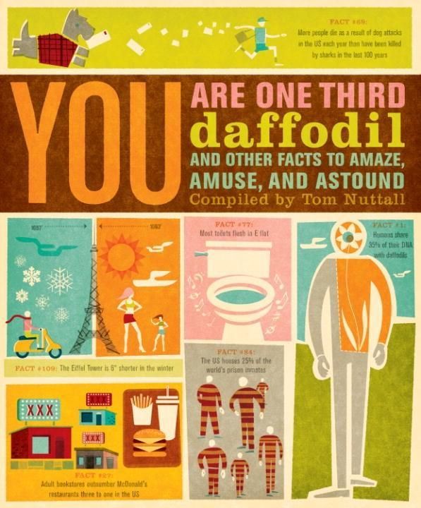 Produktbild: You Are One-Third Daffodil