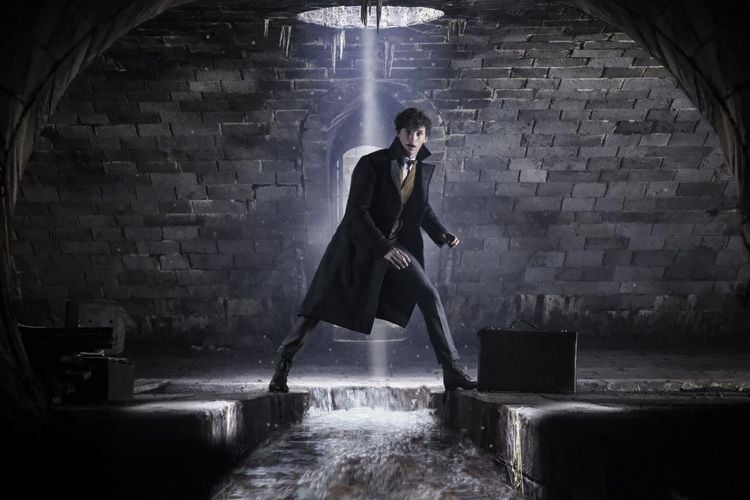 Produktbild: Wizarding World 10-Film Collection [10 BRs]