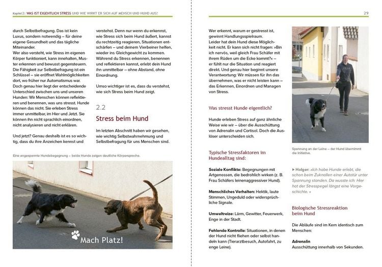 Produktbild: Hundeerziehung mit Holger Sch&uuml;ler Ohne Stress zu einer guten Beziehung