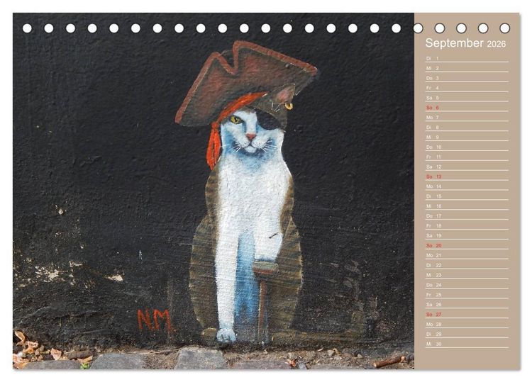 Produktbild: Flensburger Katzen (Tischkalender 2026 DIN A5 quer), CALVENDO Monatskalender