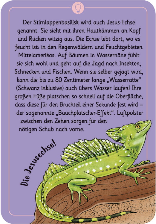 Produktbild: 50 wundersame Tierr&auml;tsel - Tricks und Tarnung