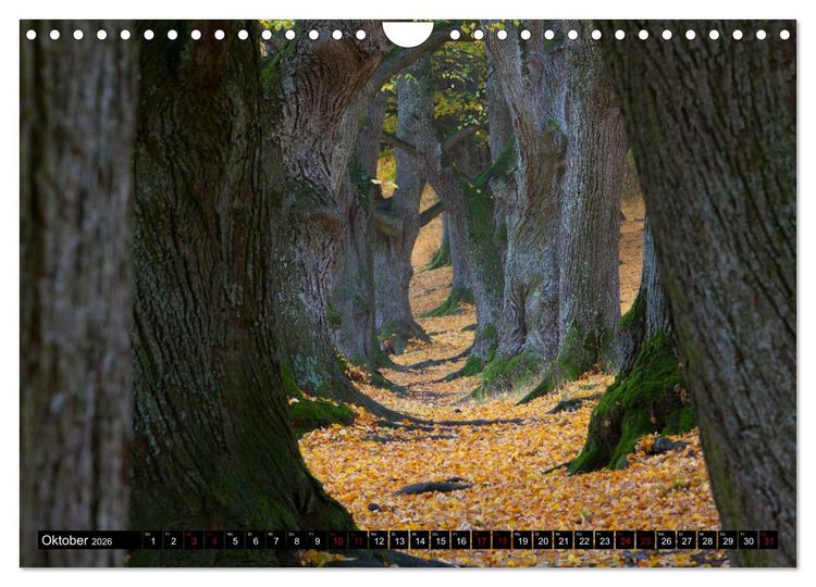 Produktbild: Rund um die Teck (Wandkalender 2026 DIN A4 quer), CALVENDO Monatskalender