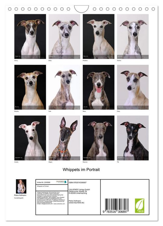 Produktbild: Whippets im Portrait (Wandkalender 2026 DIN A4 hoch), CALVENDO Monatskalender