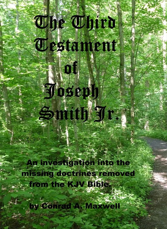Produktbild: The Third Testament of Joseph Smith Jr.