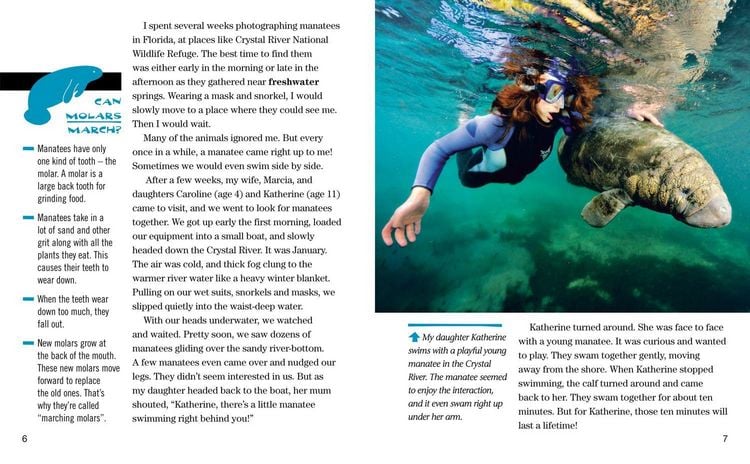 Produktbild: Nat Geo Reader Manatees