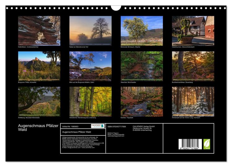 Produktbild: Augenschmaus Pf&auml;lzer Wald (Wandkalender 2026 DIN A3 quer), CALVENDO Monatskalender