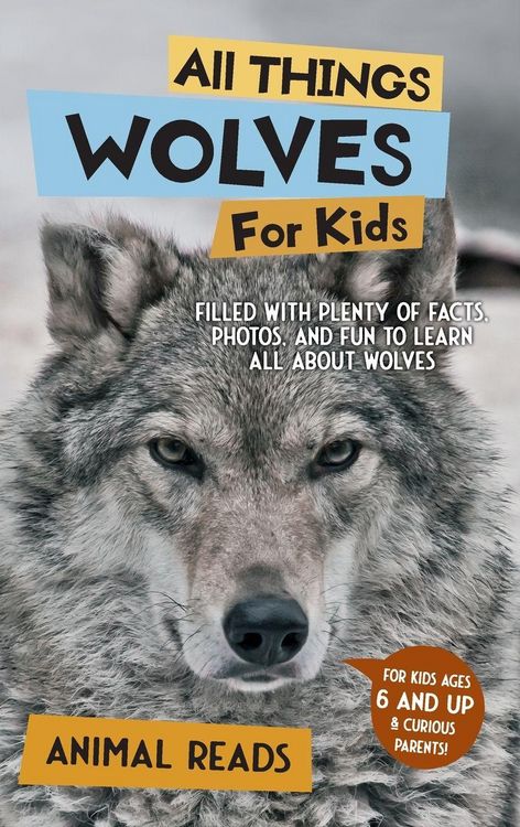 Produktbild: All Things Wolves For Kids