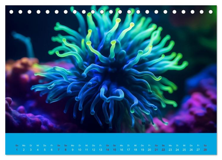 Produktbild: Farbenpracht im Ozean - Die Sch&ouml;nheit der Korallen (Tischkalender 2026 DIN A5 quer), CALVENDO Monatskalender